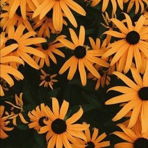 Meet your Posher, Ash'onae